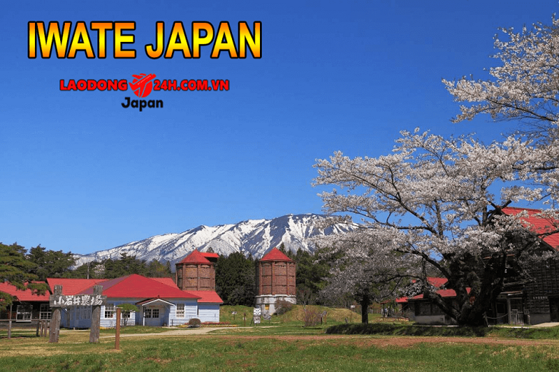Tỉnh Iwate Japan Vùng đất huyền thoại