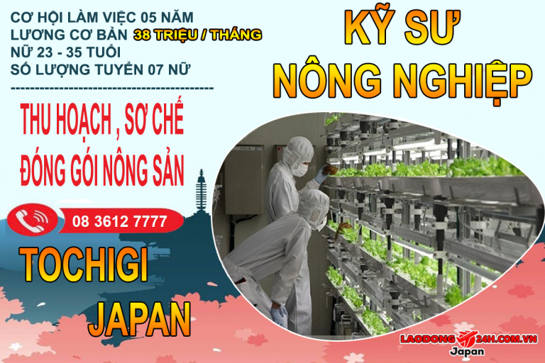ky-su-nong-nghiep-thu-hoach-nong-san